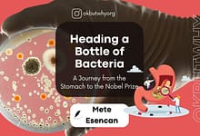Heading a Bottle of Bacteria A Journey from the Stomach to the Nobel Prize