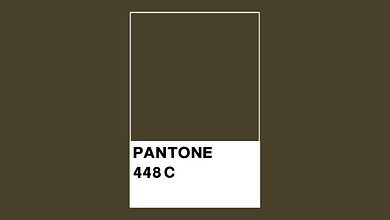 Pantone-448-C