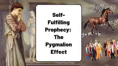 Pygmalion effect