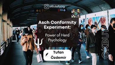 Asch Conformity Experiment - The Power of Herd Psychology