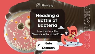 Heading a Bottle of Bacteria A Journey from the Stomach to the Nobel Prize