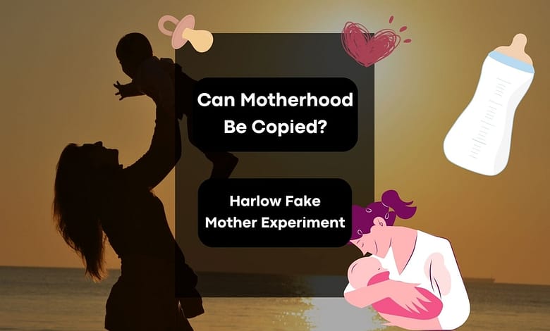 Harlow Fake Mother Experiment