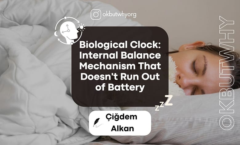 Biological Clock