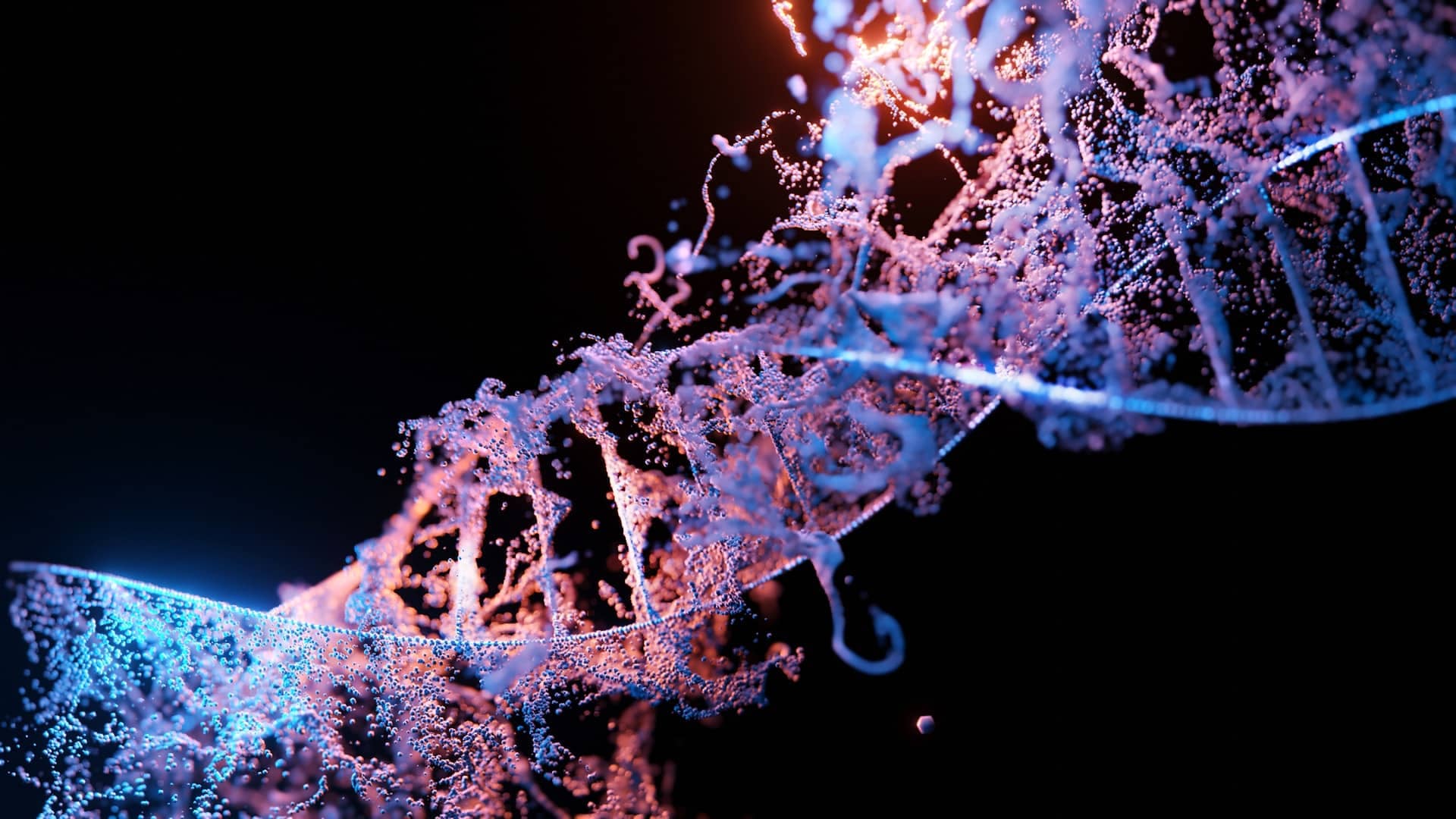 biologic clock DNA